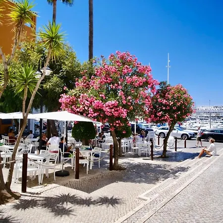 Seaview Serenity With Pool & Garden كوارتيرا